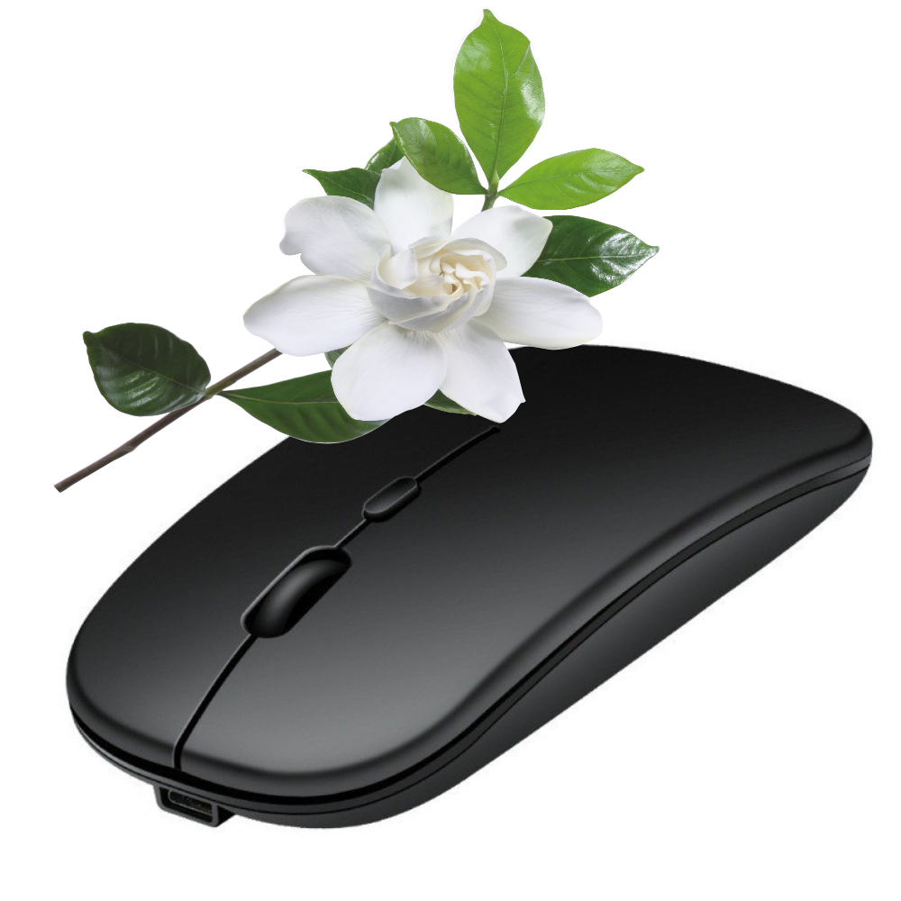 Rechargeable Bluetooth Mouse W - Pc Gaming X3D review and price