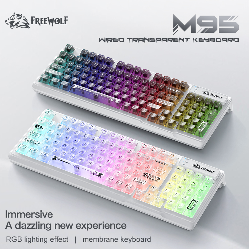 Wired RGB Transparent Keyboard - Anti-Ghosting Keyboard review and price